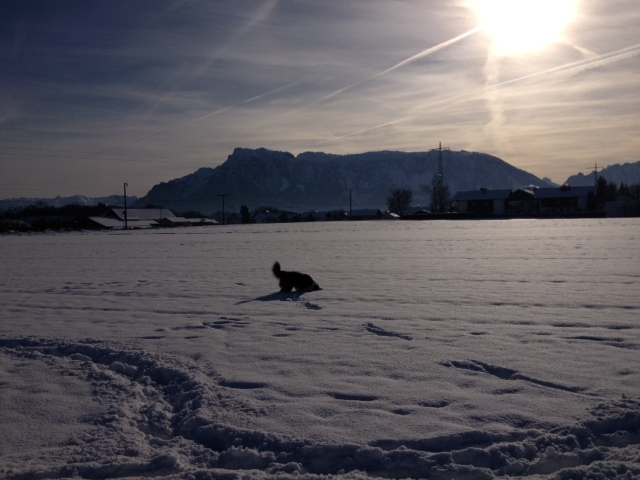 Untersberg im Schnee