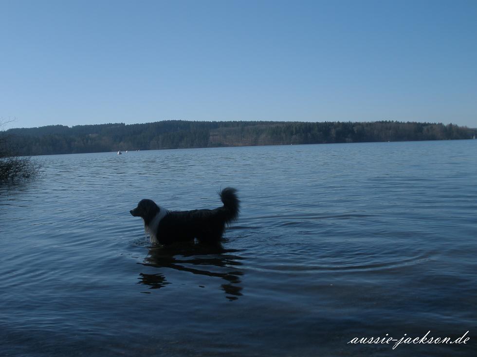 Möhnesee